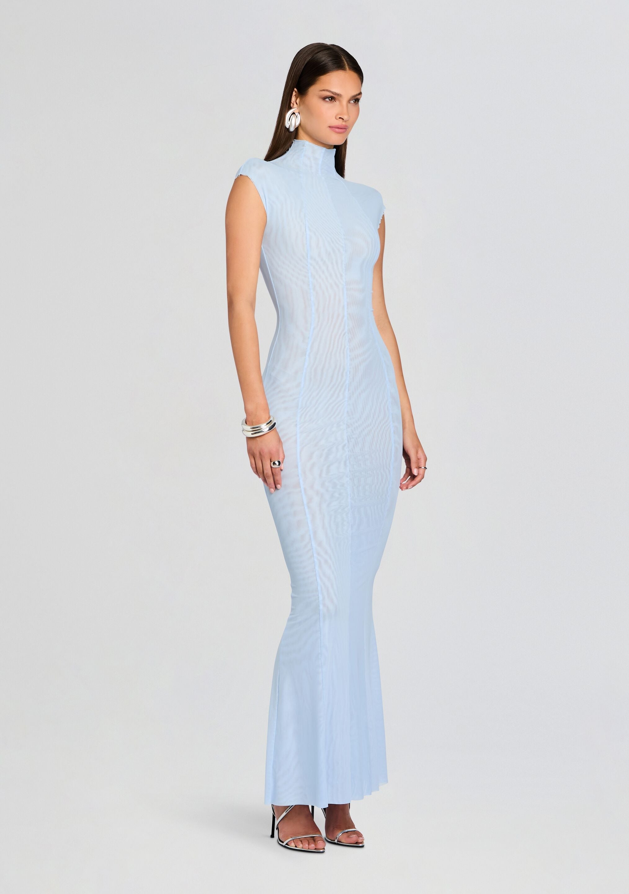 Laissa Mesh Maxi Dress